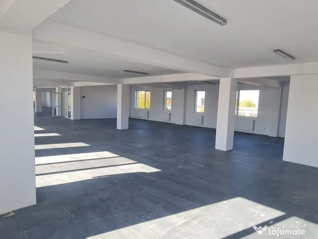 Constructie noua, hala si birouri Berceni, zona Progresul 