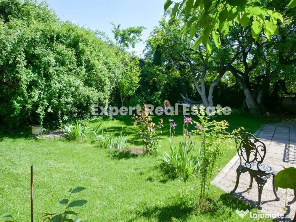 Spatiu Comercial Productie Depozitare Locuinta Otopeni Dn1 