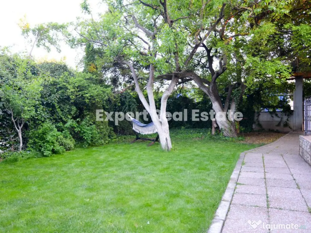 Spatiu Comercial Productie Depozitare Locuinta Otopeni Dn1 