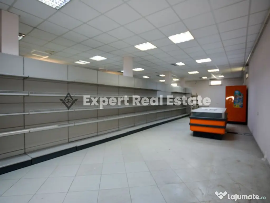 Spatiu Comercial Productie Depozitare Locuinta Otopeni Dn1 