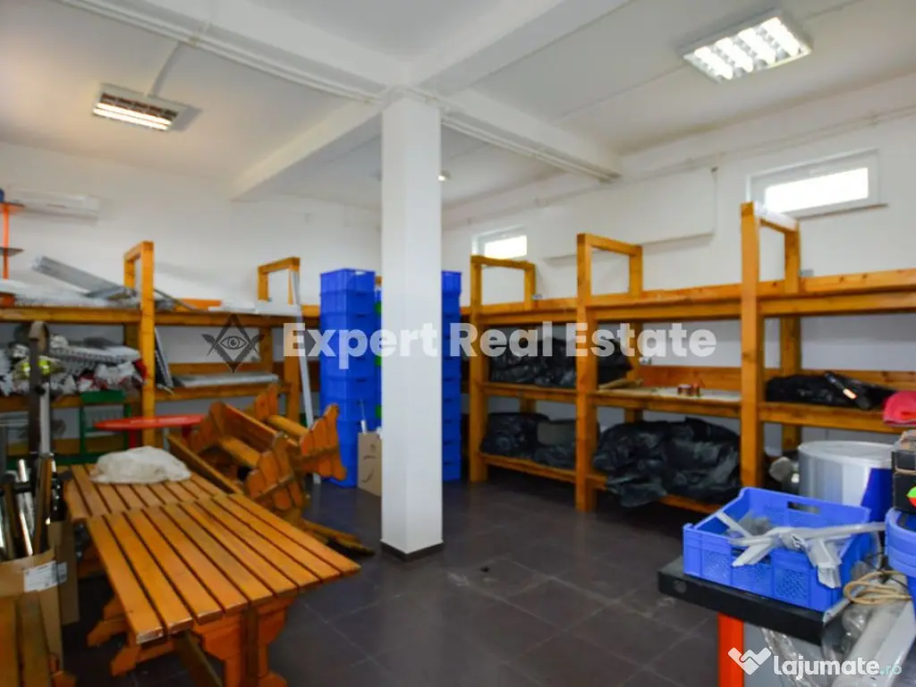 Spatiu Comercial Productie Depozitare Locuinta Otopeni Dn1 