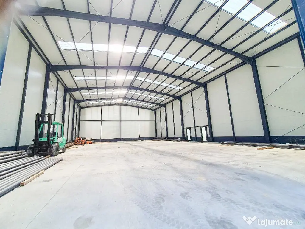 Spatiu Depozitare Hala Pitesti 