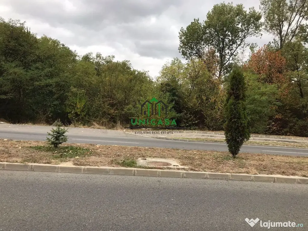 Teren Dem Radulescu / 1731mp 