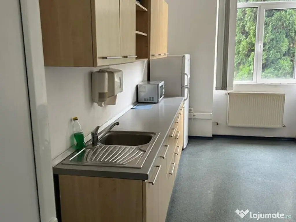 Sud z. Bulevard - birouri 20-1000 mp pe etaj la 8 euro/mp/lu