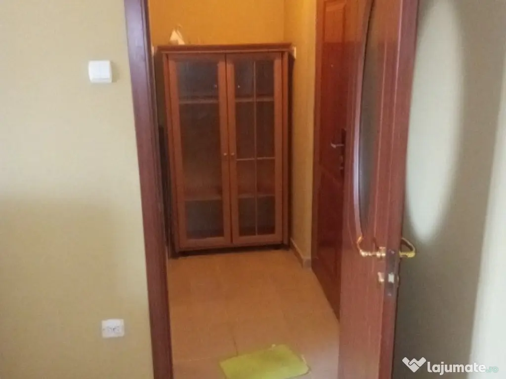 Garsoniera zona Calarasilor Viziru