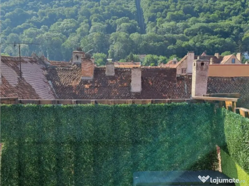 Hotel Boutique in centrul istoric al Brasovului , Comision 0 