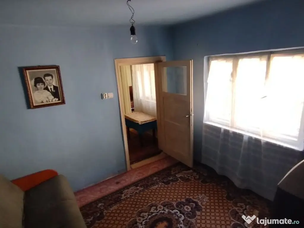 Teren pentru casă verde langa promenada din Ovidiu 