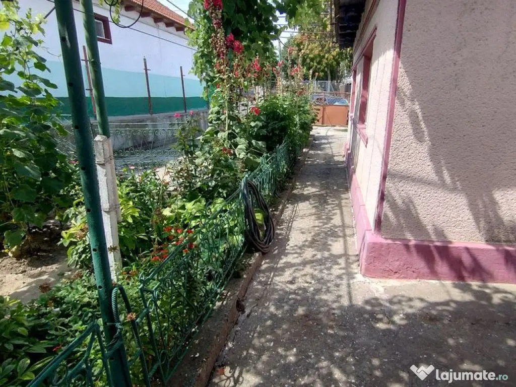 Teren pentru casă verde langa promenada din Ovidiu 