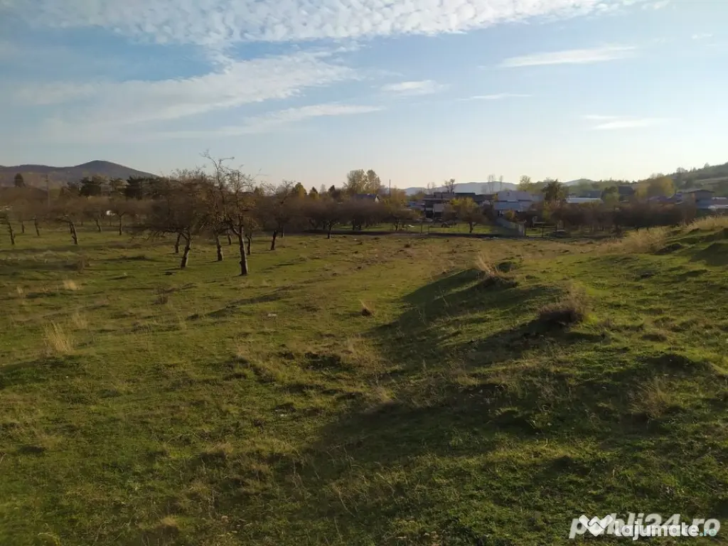 Proprietar Teren intravilan Campina 2490mp - Prahova (negociabil)