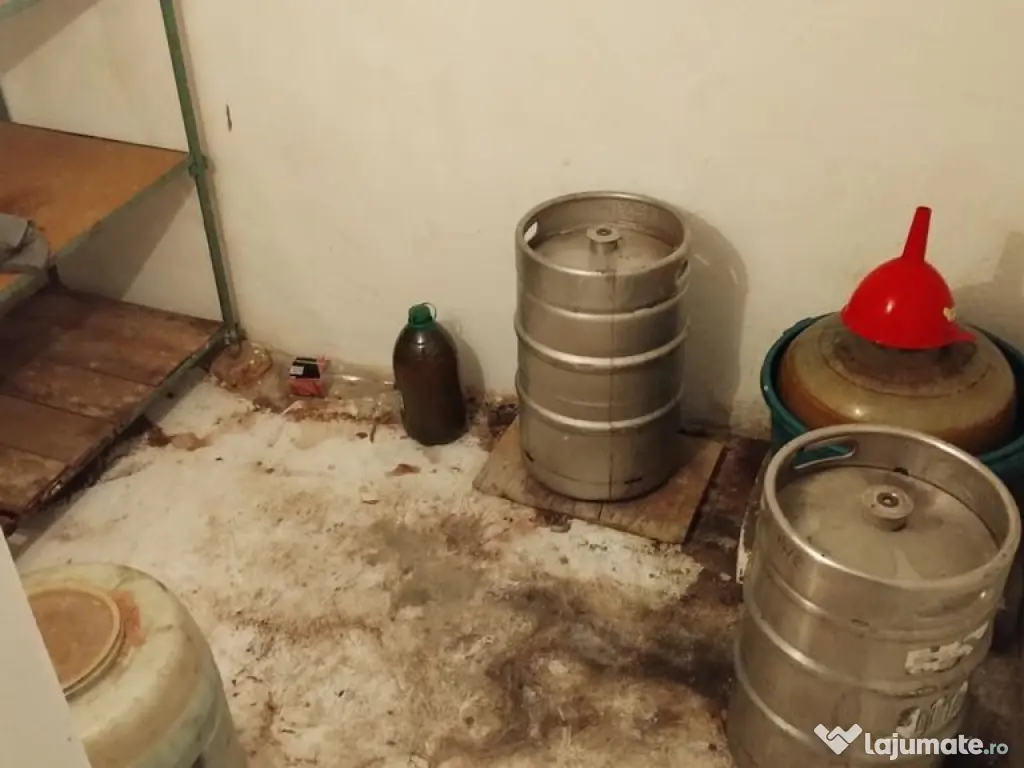 Casă 5 camere Coiciu 