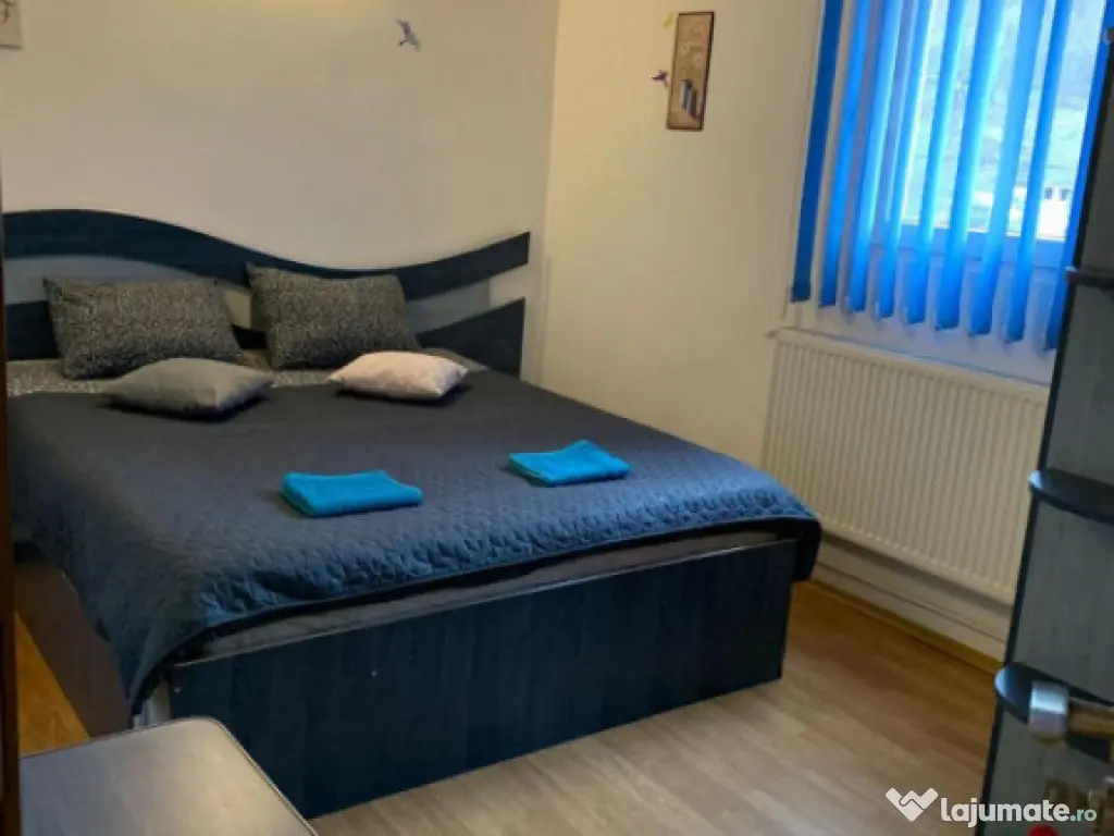 Vila superba 8 camere, Busteni/ Prahova