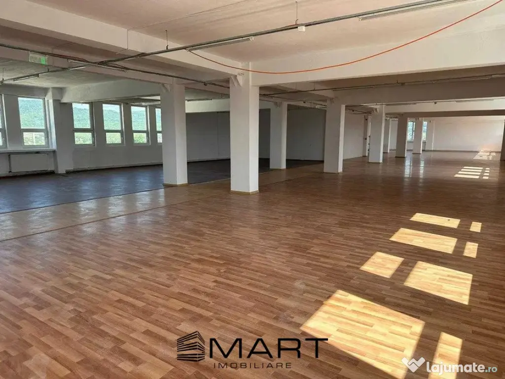 Spatiu birouri 500 mp zona Industriala EST