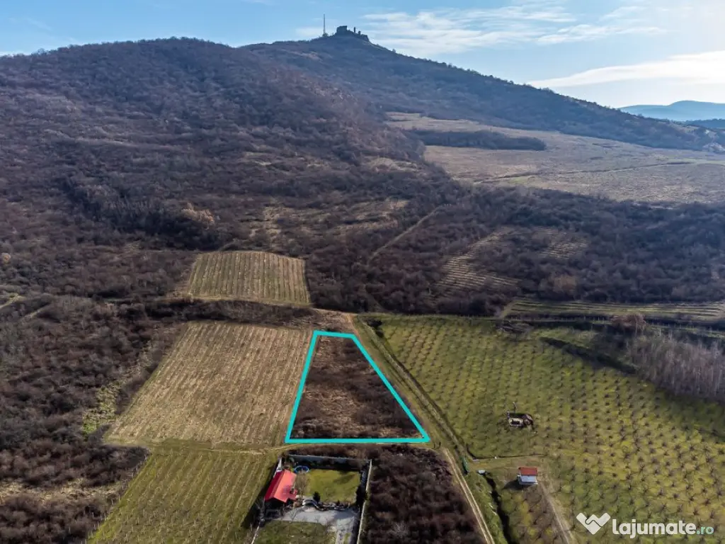 Teren intravilan în Șiria pe deal