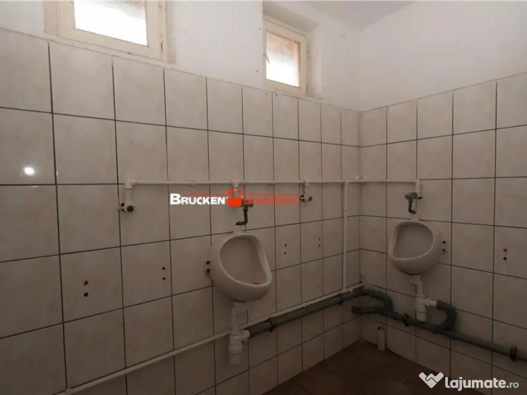 Hala de inchiriat in Marghita