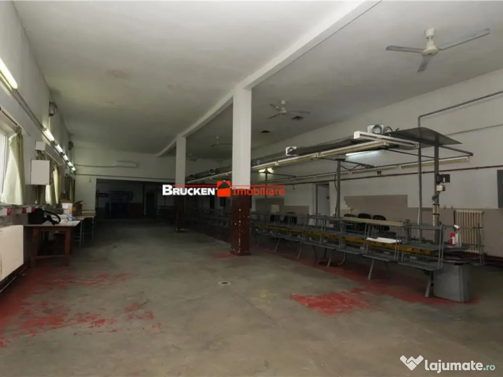 Hala de inchiriat in Marghita