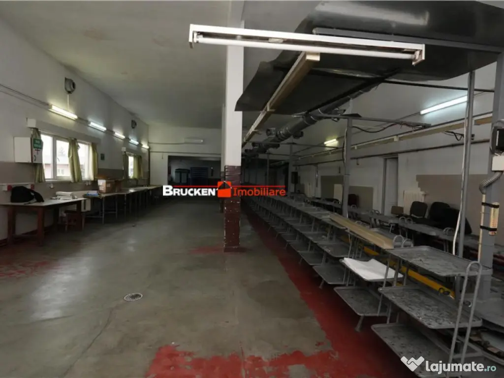 Hala de inchiriat in Marghita