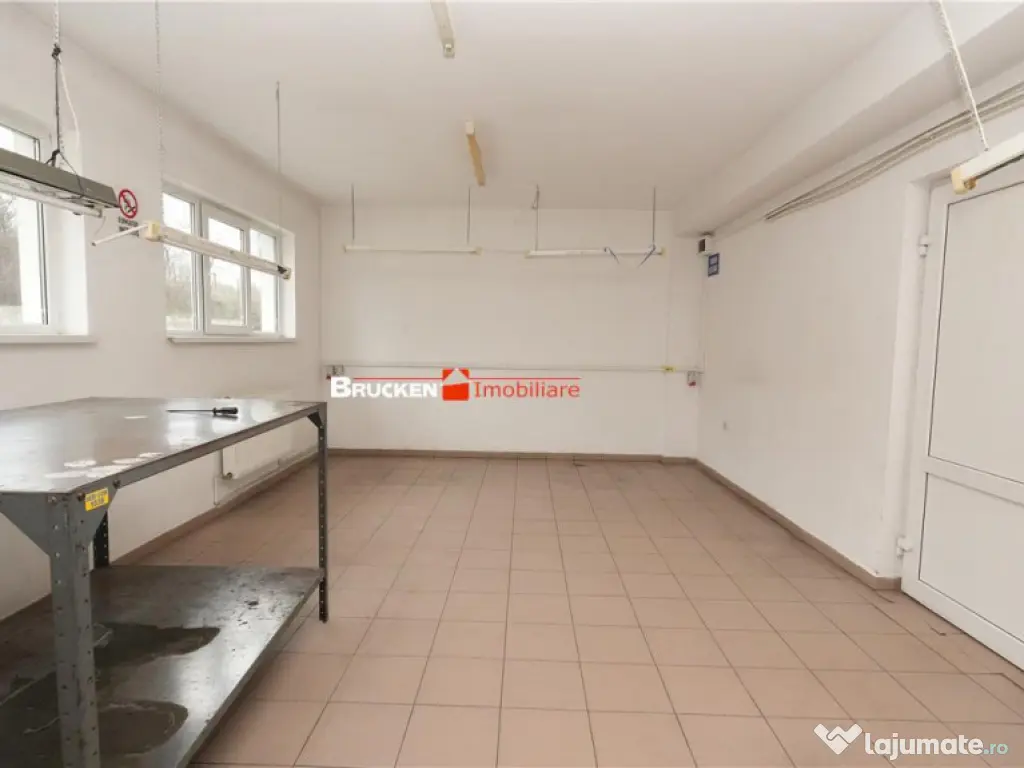 Hala de inchiriat in Marghita