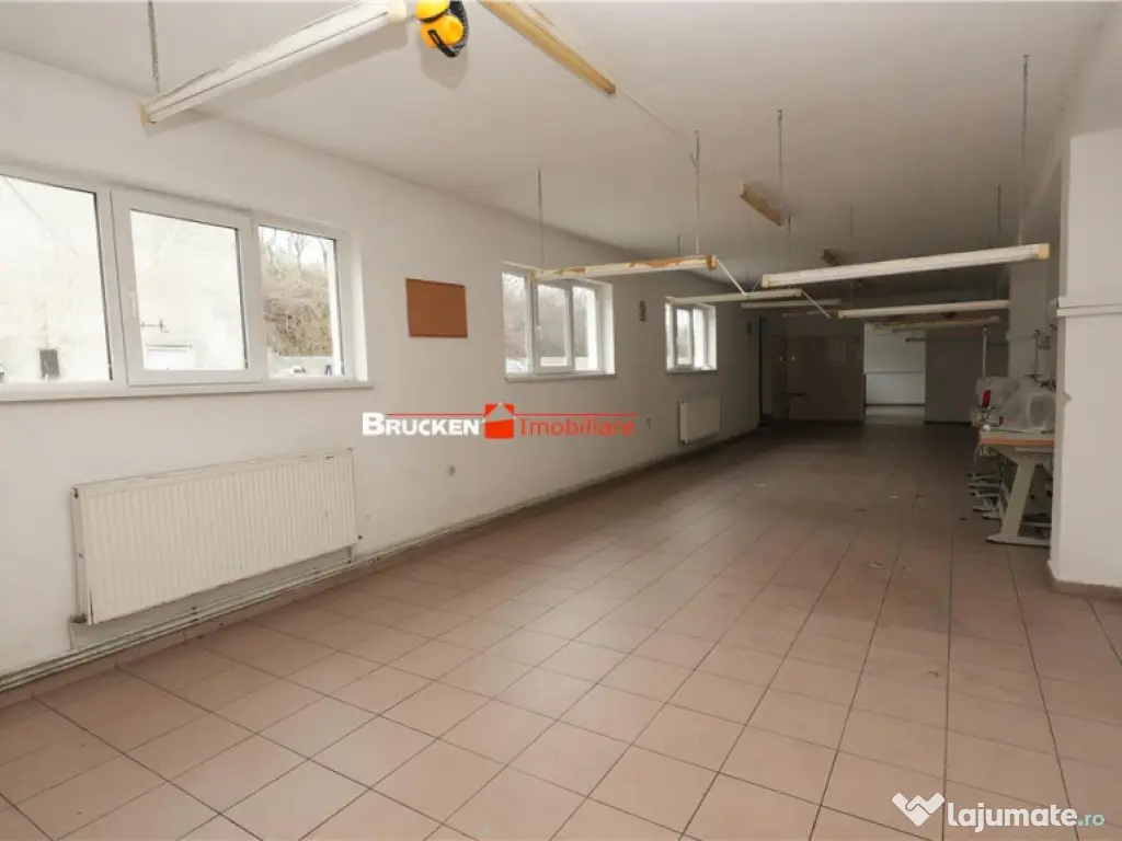 Hala de inchiriat in Marghita