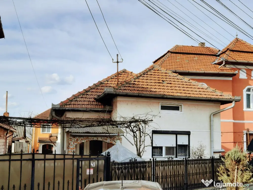 Ilia, proprietate deosebita 