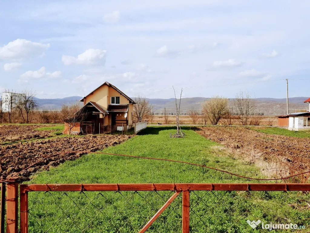 Ilia, proprietate deosebita 