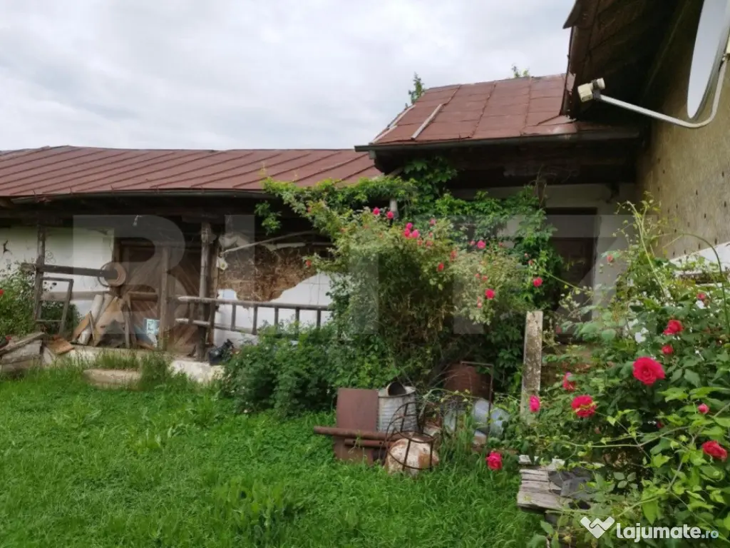 Casa individuala cu crama, teren 6700mp, Plopu