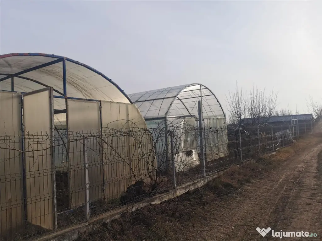 Teren 633mp imprejmuit in centru Domnesti/posibilitate schim