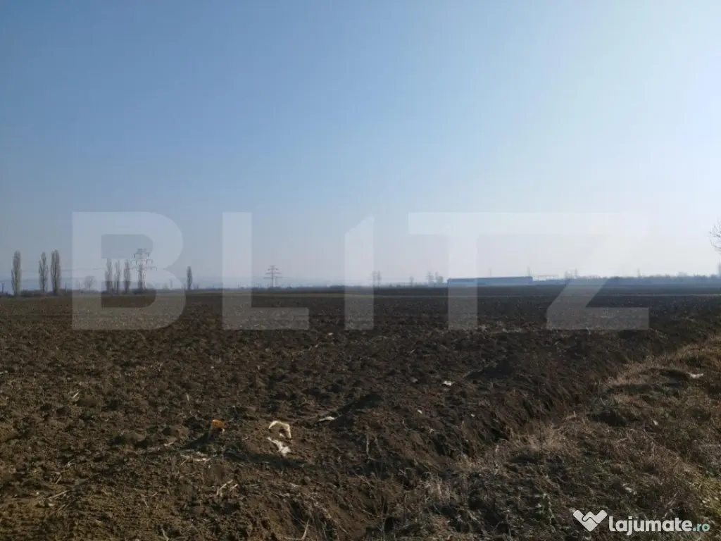 Teren 10 000mp, 38ml deschidere, Berceni.