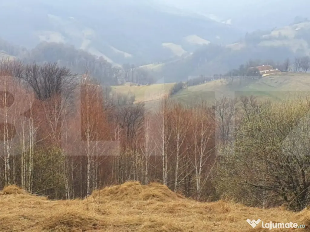 Teren 9648 mp, priveliste superba, Poiana Marului!