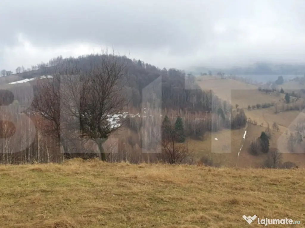 Teren 9648 mp, priveliste superba, Poiana Marului!