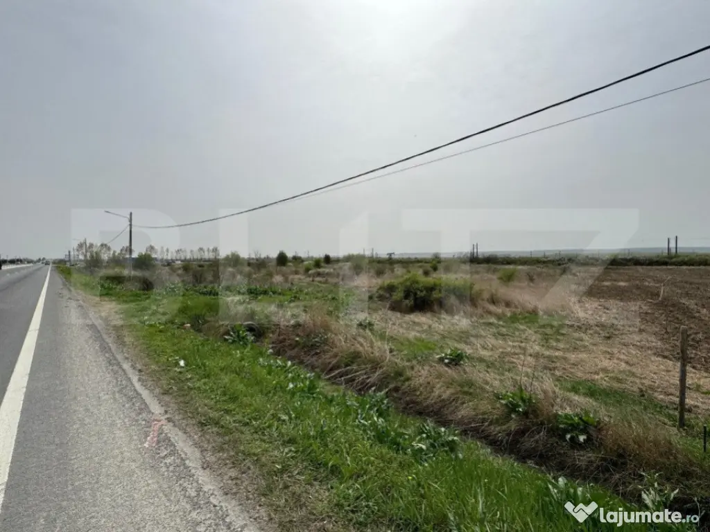 Teren intravilan 10.763 mp, deschidere 97 m la DE79, Brăde? 