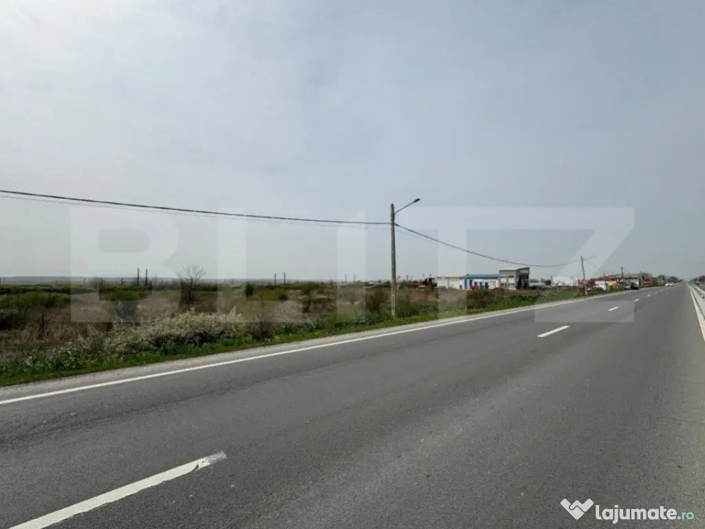 Teren intravilan 10.763 mp, deschidere 97 m la DE79, Brăde? 