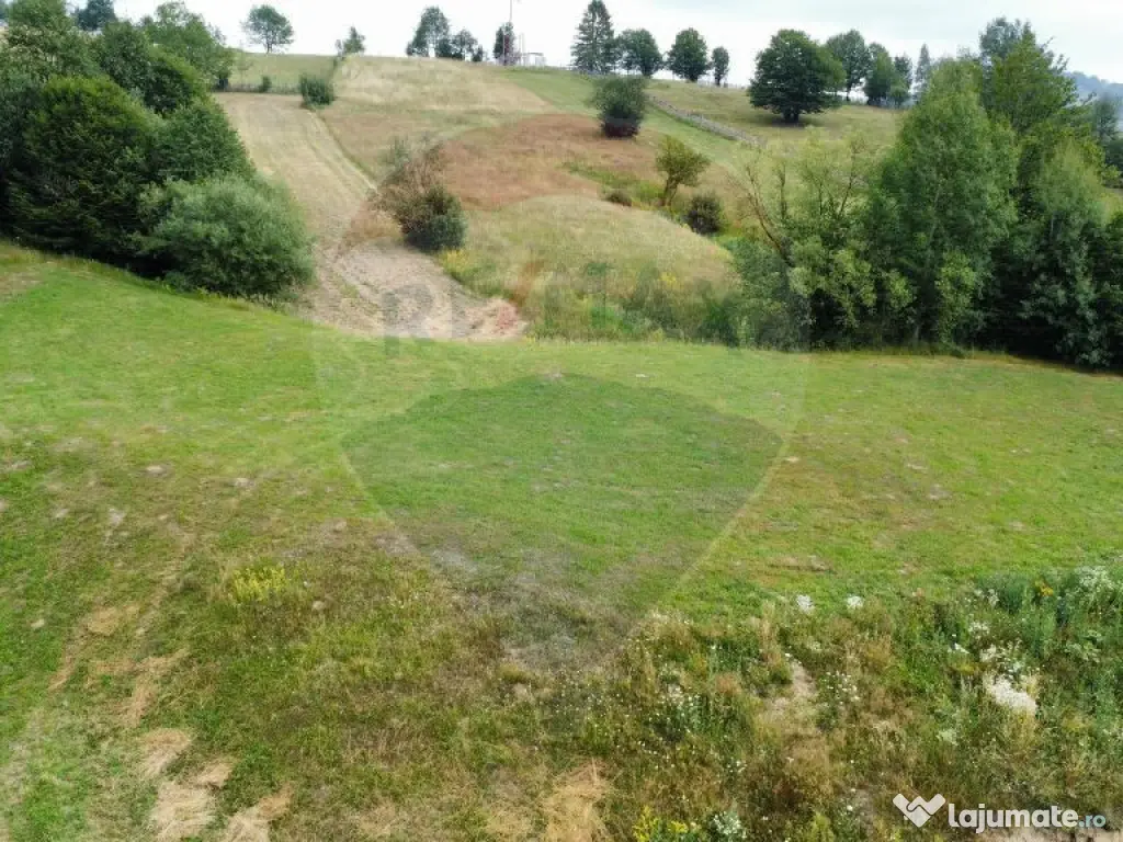 Teren 4397 mp Intravilan Manastirea Humorului / Lunga Buc... 