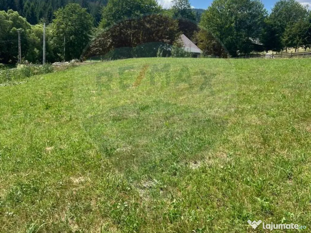 Teren 4397 mp Intravilan Manastirea Humorului / Lunga Buc... 