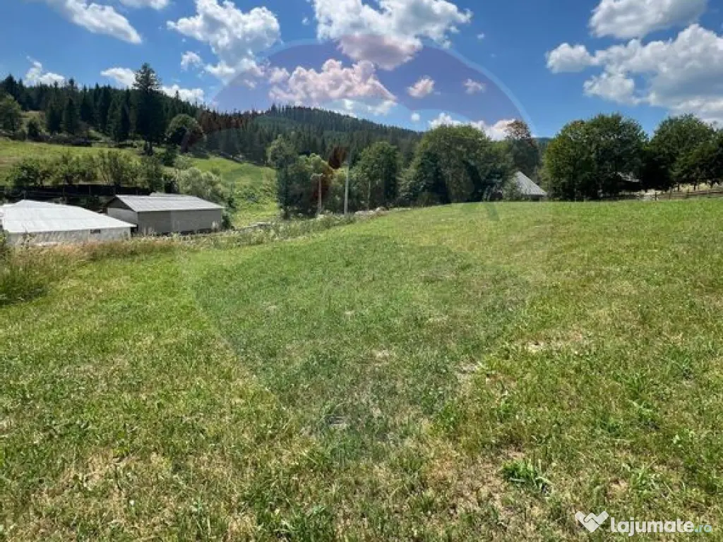 Teren 4397 mp Intravilan Manastirea Humorului / Lunga Buc... 