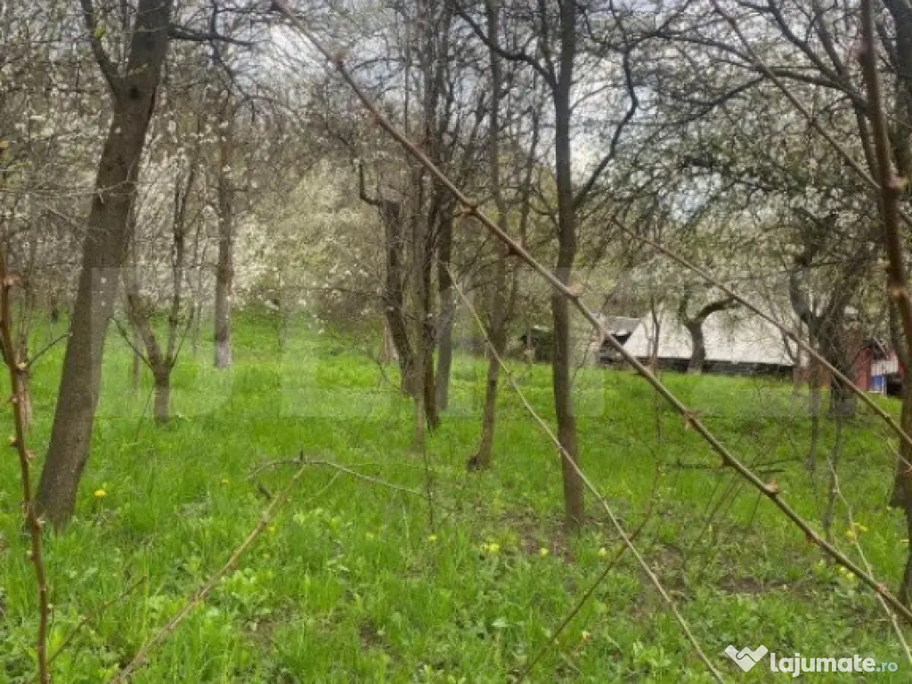 Teren 784 mp, Nistoresti, jud Prahova