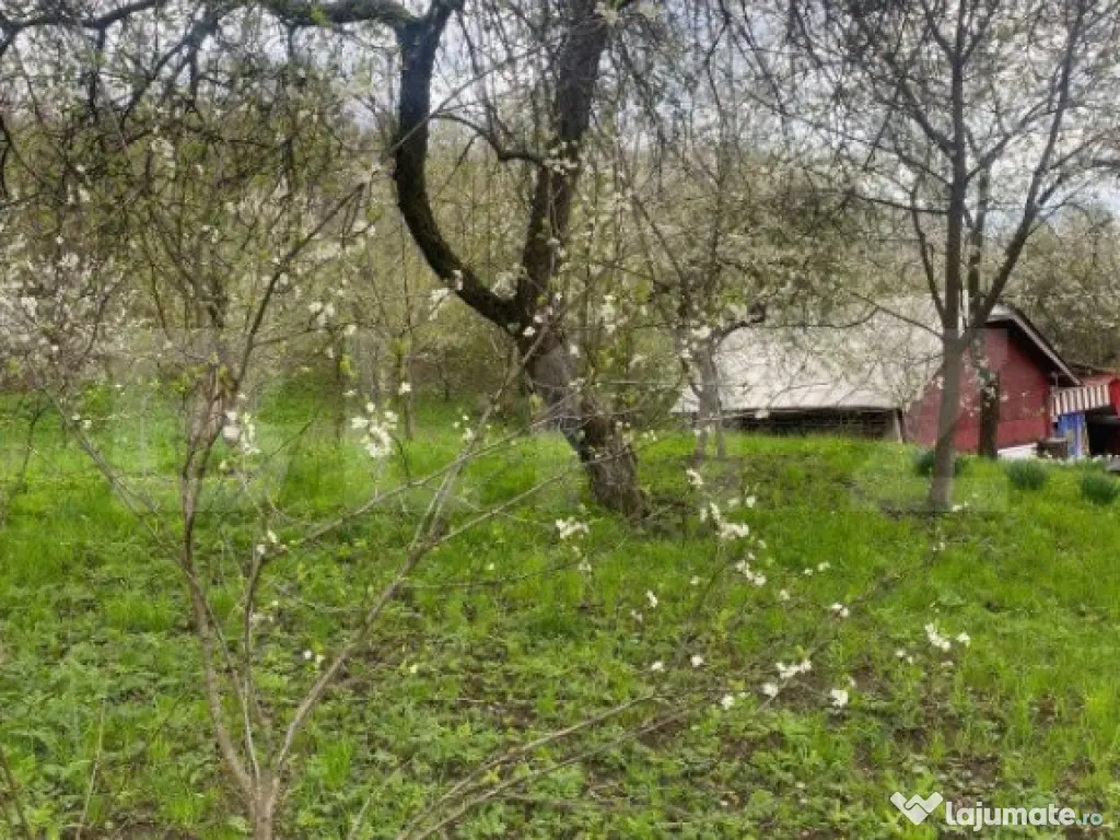 Teren 784 mp, Nistoresti, jud Prahova