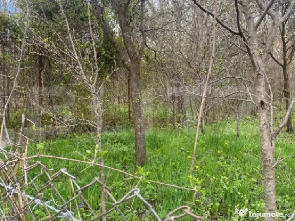 Teren 784 mp, Nistoresti, jud Prahova