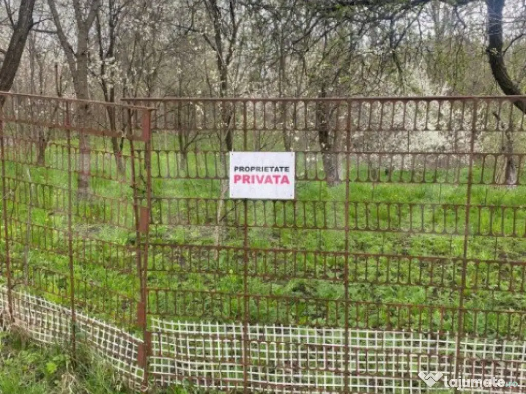 Teren 784 mp, Nistoresti, jud Prahova