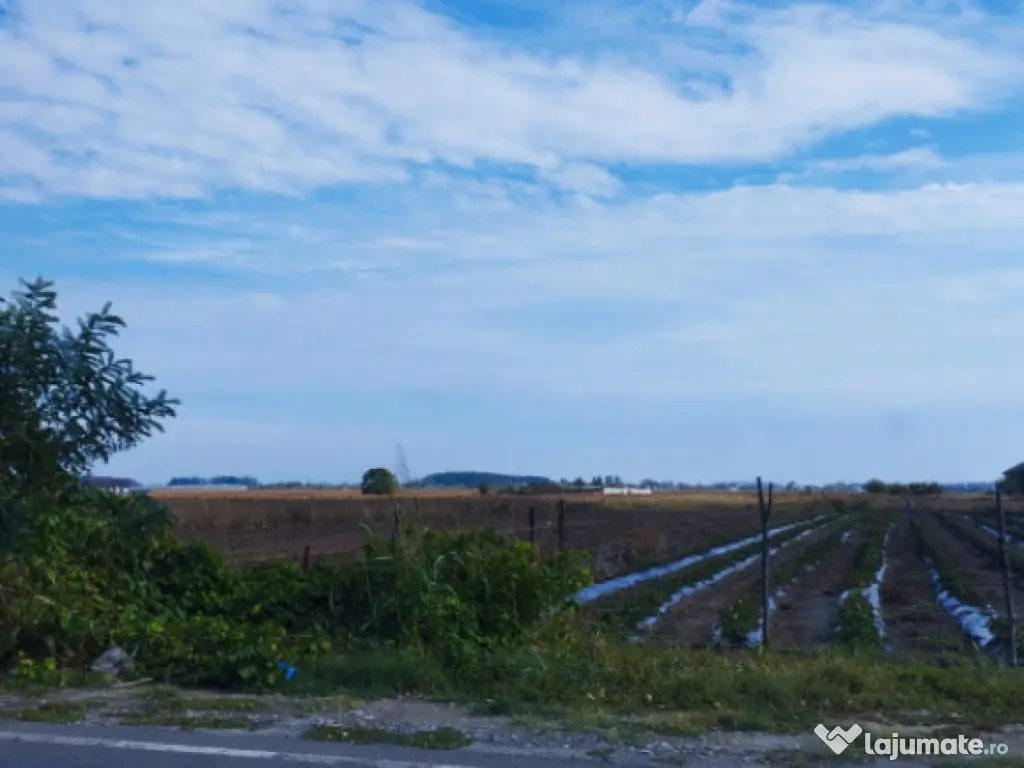 SUPER OCAZIE SE VINDE TEREN PARCELABIL 2000MP IN ZONA 1 DECE