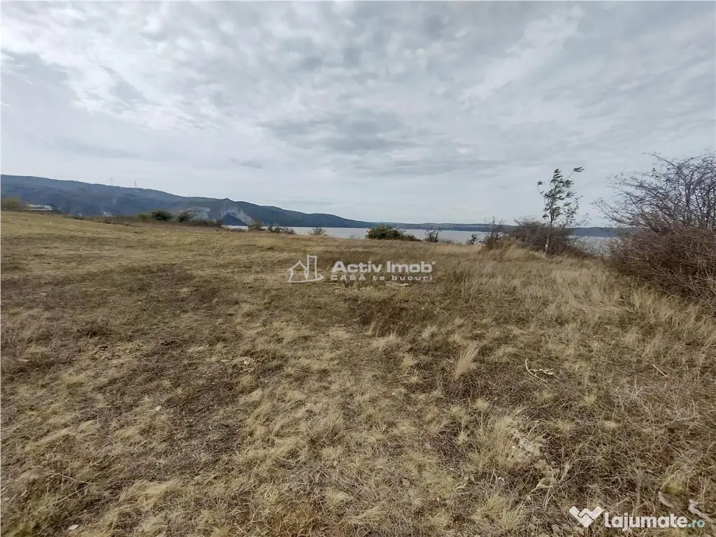 Coronini, Teren Drept, Vedere la Dunare, 6 Euro/Mp, Negociab