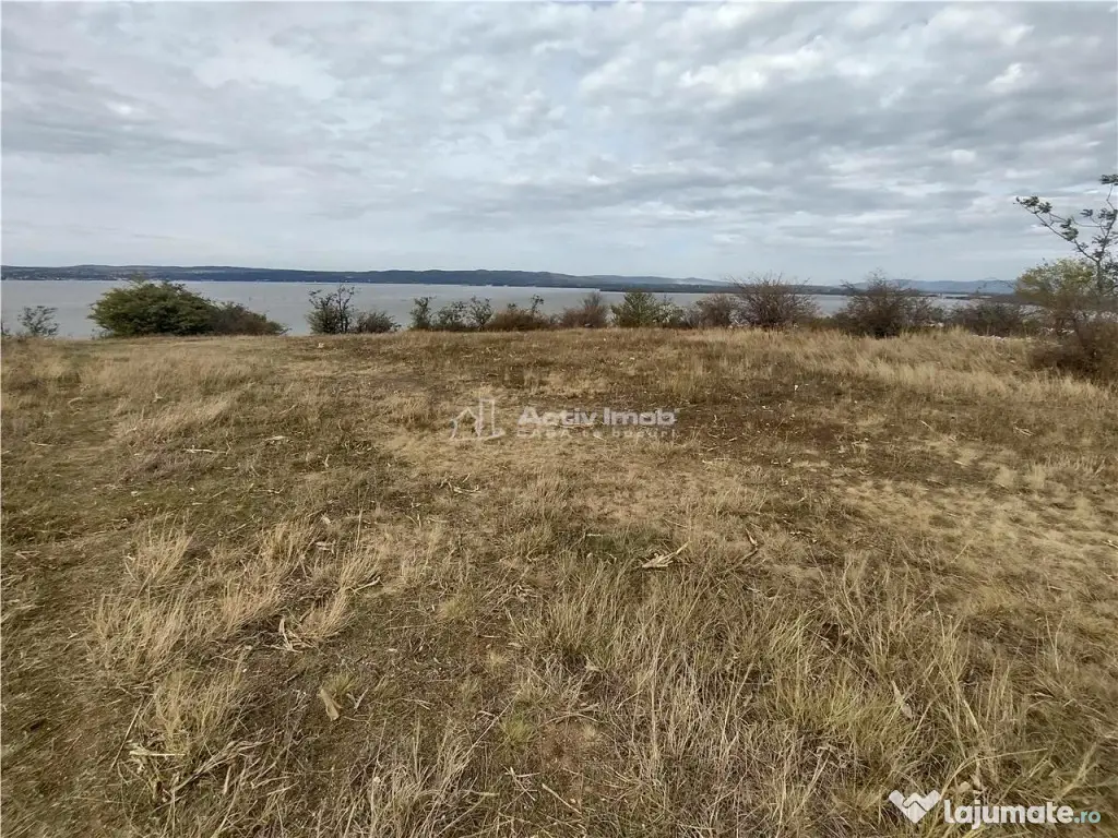 Coronini, Teren Drept, Vedere la Dunare, 6 Euro/Mp, Negociab
