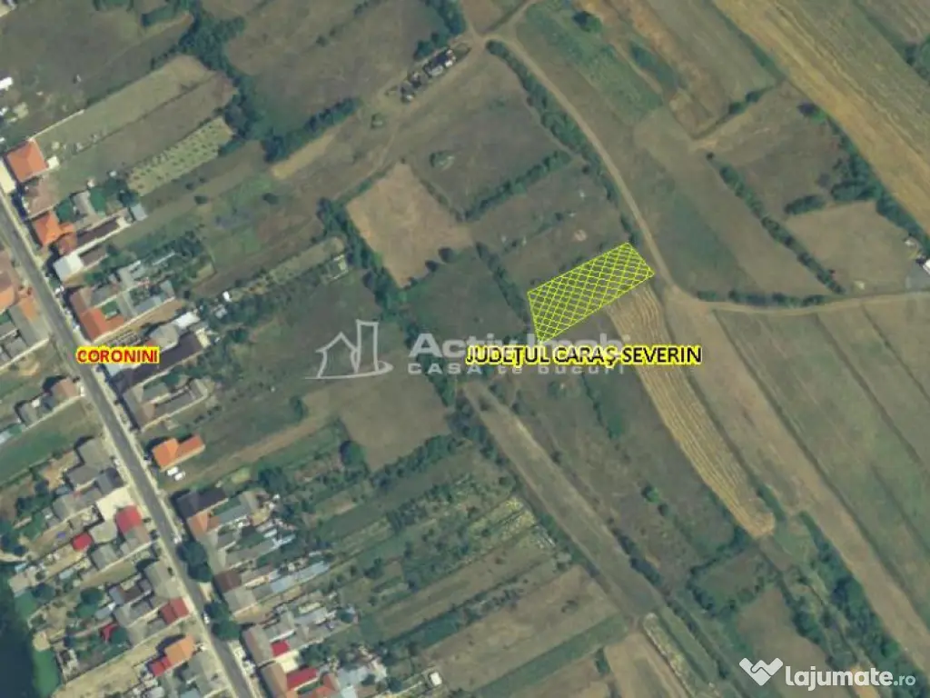 Coronini, Teren Drept, Vedere la Dunare, 6 Euro/Mp, Negociab
