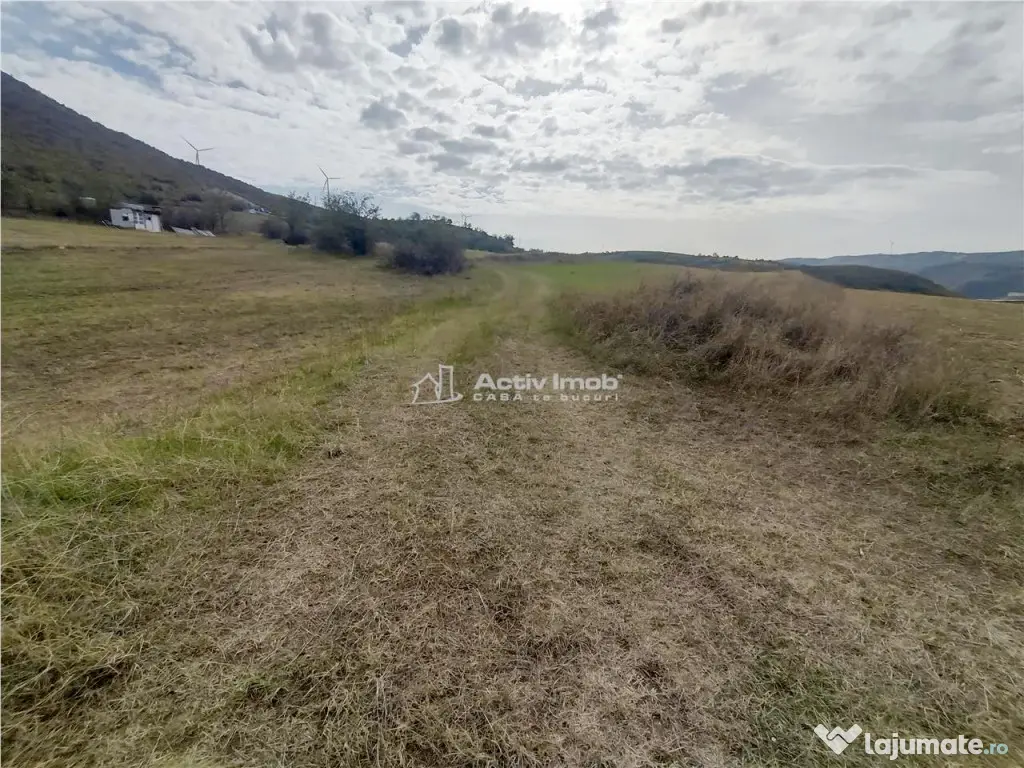 Coronini, Teren Drept, Vedere la Dunare, 6 Euro/Mp, Negociab