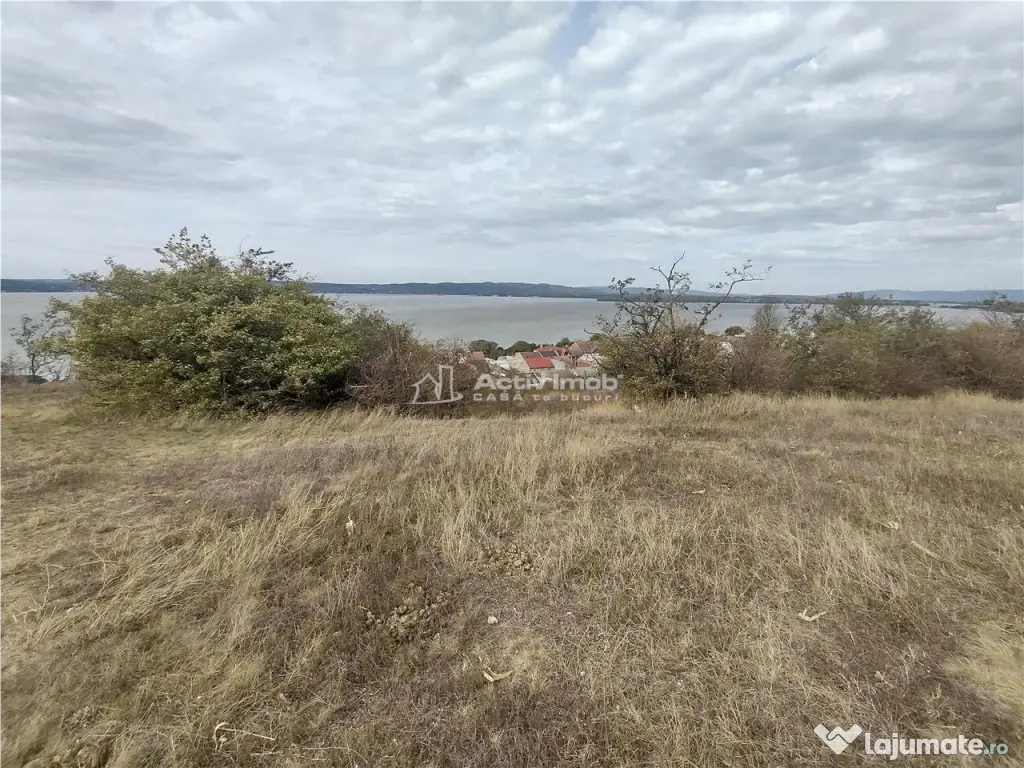 Coronini, Teren Drept, Vedere la Dunare, 6 Euro/Mp, Negociab