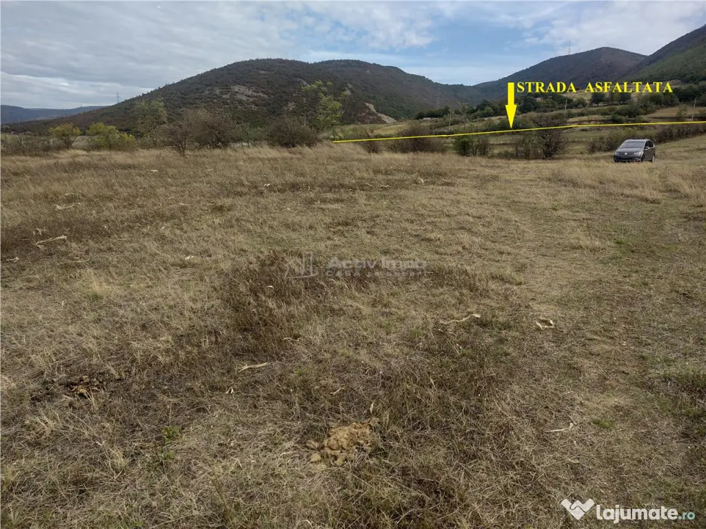 Coronini, Teren Drept, Vedere la Dunare, 6 Euro/Mp, Negociab