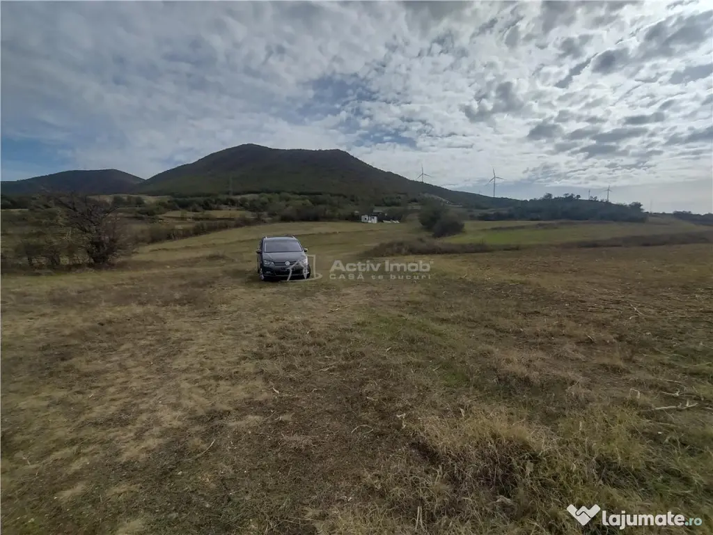 Coronini, Teren Drept, Vedere la Dunare, 6 Euro/Mp, Negociab