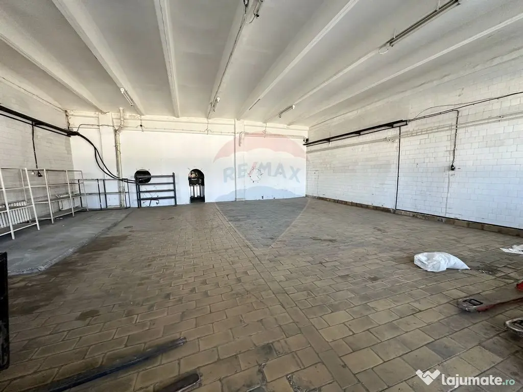 Hale Brailei Plus Frig 