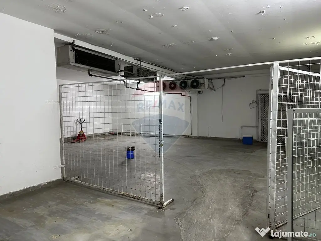 Hale Brailei Plus Frig 