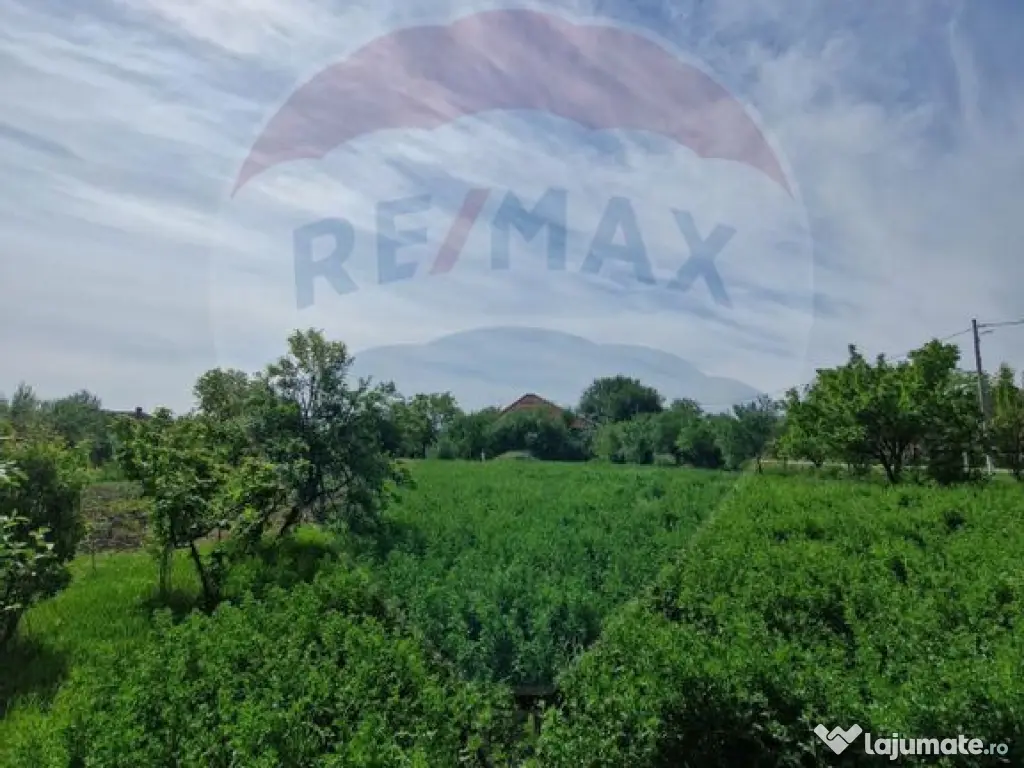 Casa de vanzare in comuna Misca judetu Arad