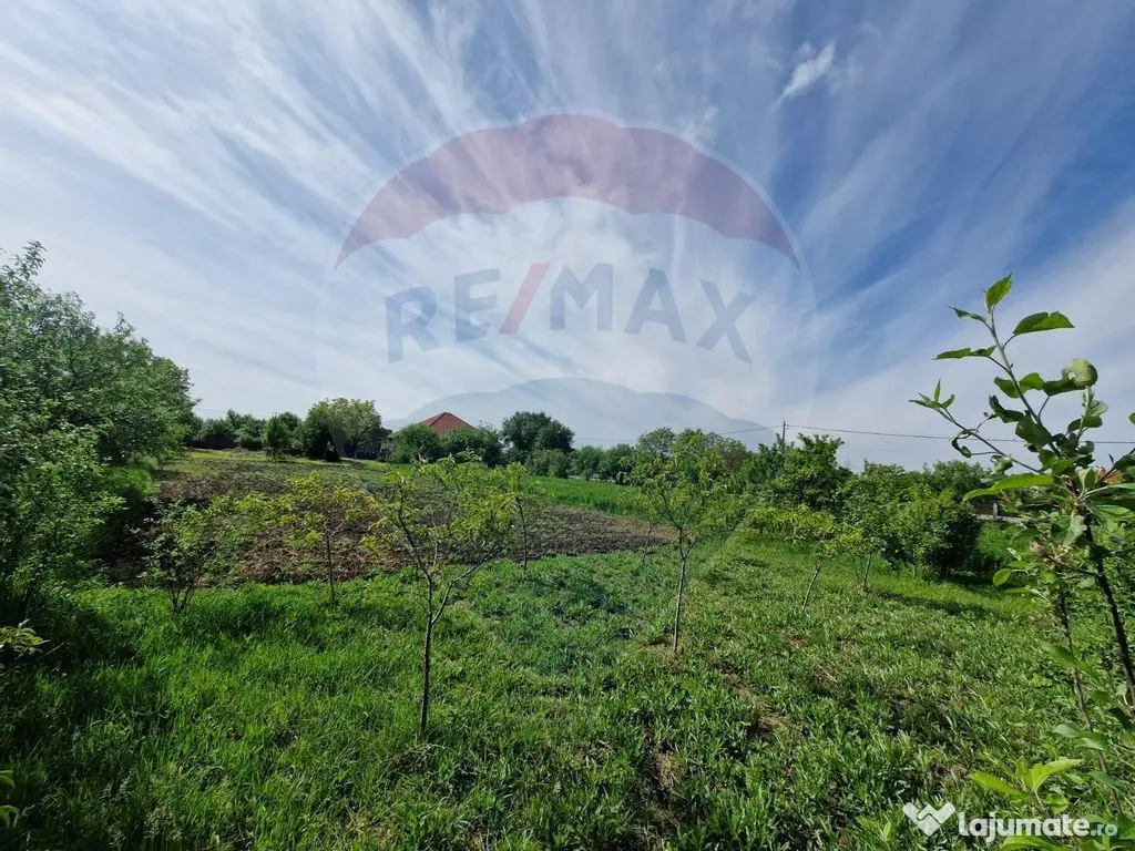 Casa de vanzare in comuna Misca judetu Arad